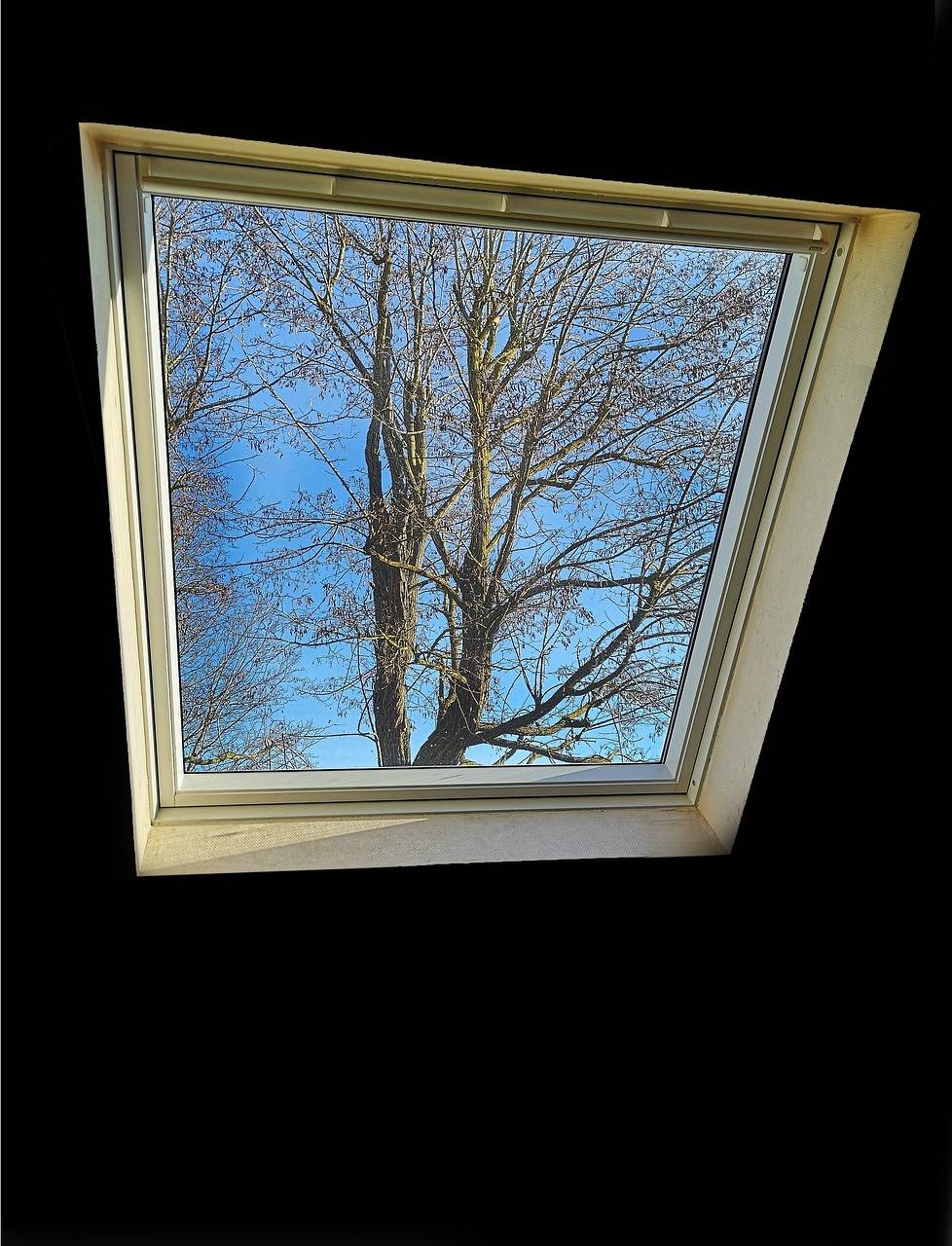 remplacement d'un ancien Velux par un velux neuf dernière génération à Meudon