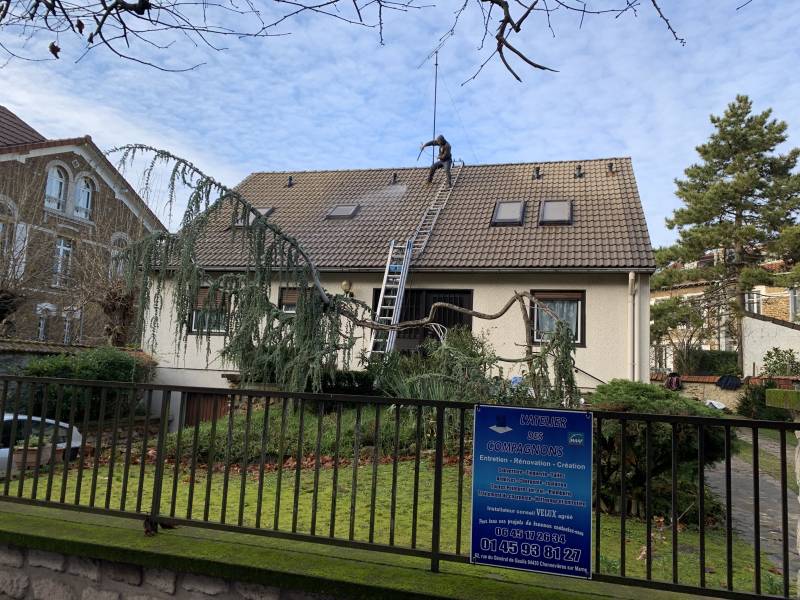 Traitement préventif ou curatif des bois de charpente à Versailles : élimination des insectes xylophages et restauration du bois endommagé