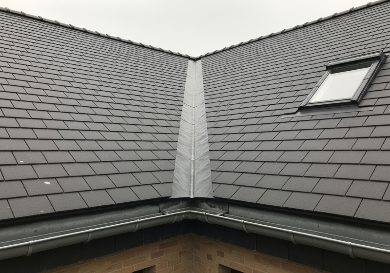 Urgence fuite de toiture à Malakoff : intervention rapide 7j/7 pour fuites de toiture et réparations provisoires